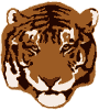 tiger bulk